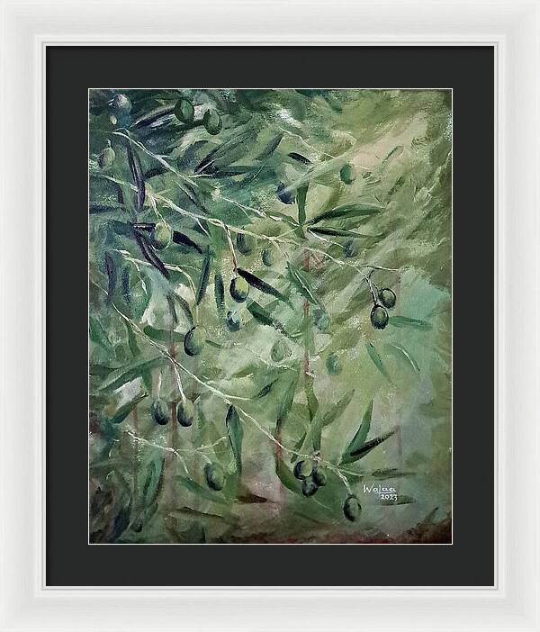 Olive Tears - Framed Print