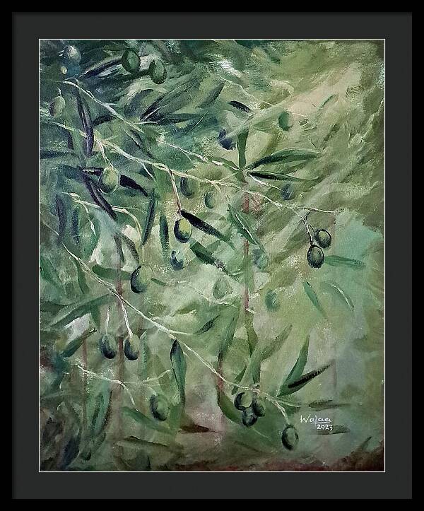 Olive Tears - Framed Print