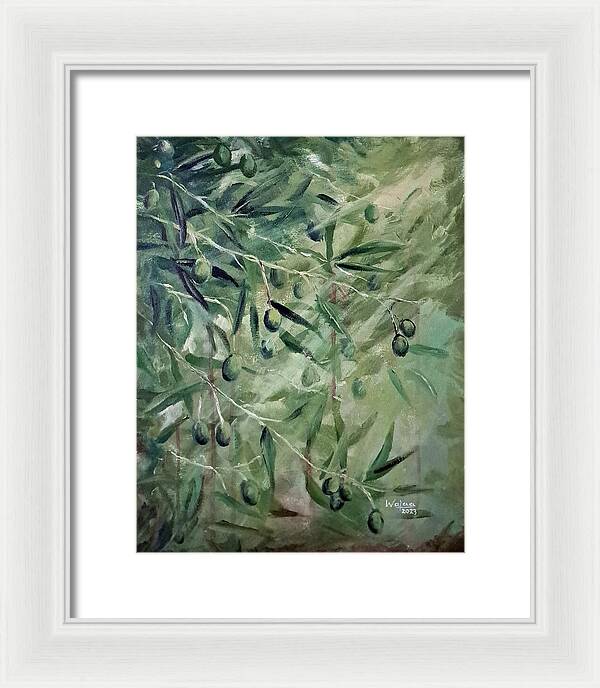 Olive Tears - Framed Print