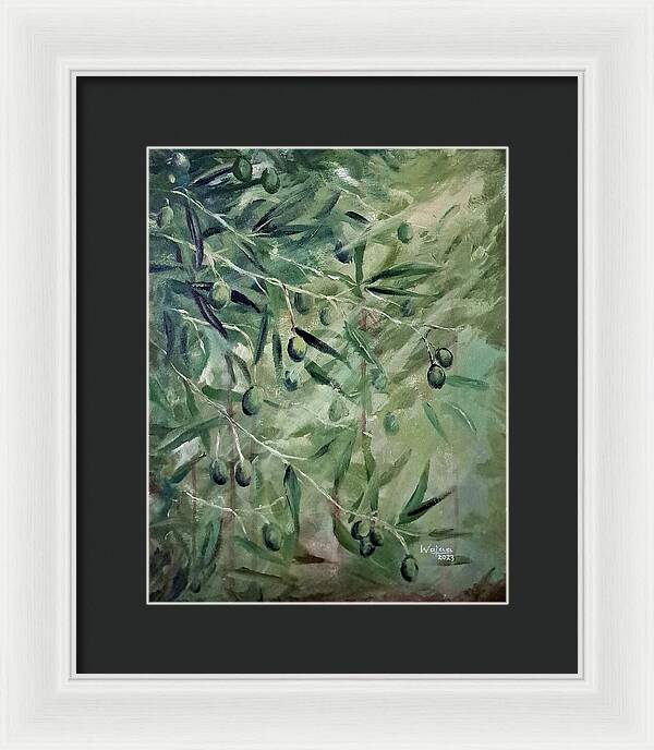 Olive Tears - Framed Print