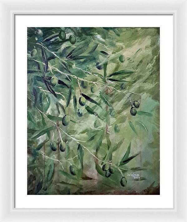 Olive Tears - Framed Print