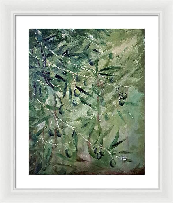 Olive Tears - Framed Print