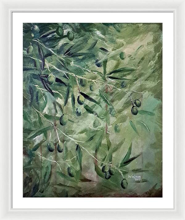 Olive Tears - Framed Print