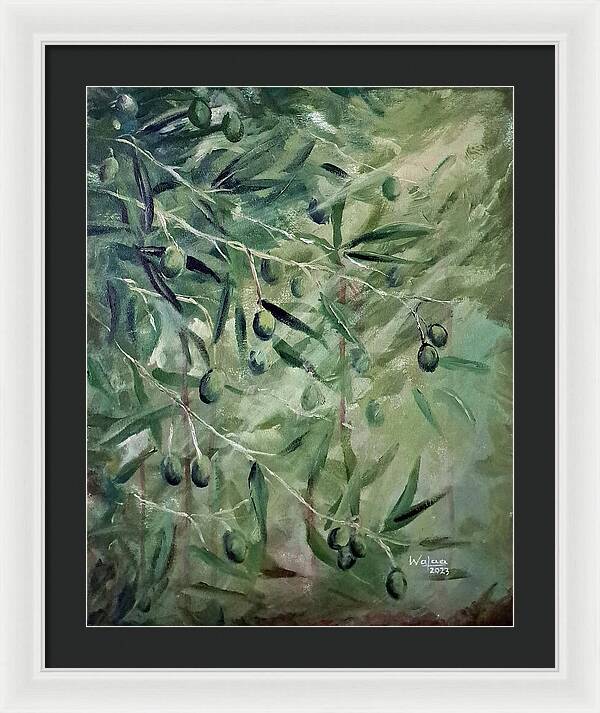 Olive Tears - Framed Print