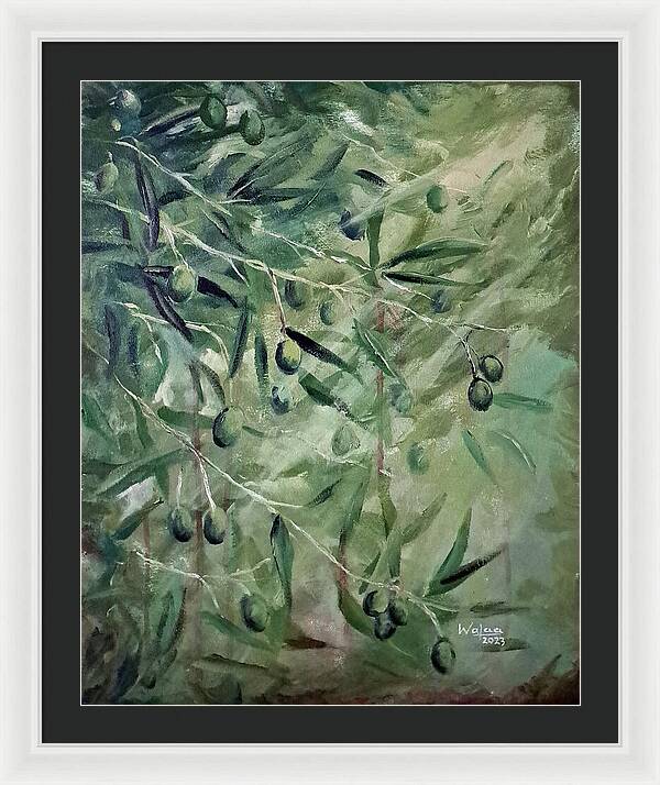 Olive Tears - Framed Print