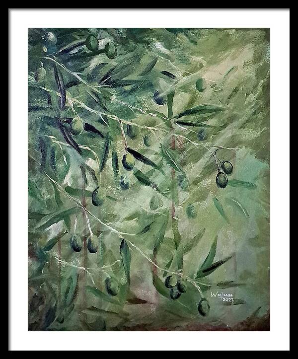 Olive Tears - Framed Print