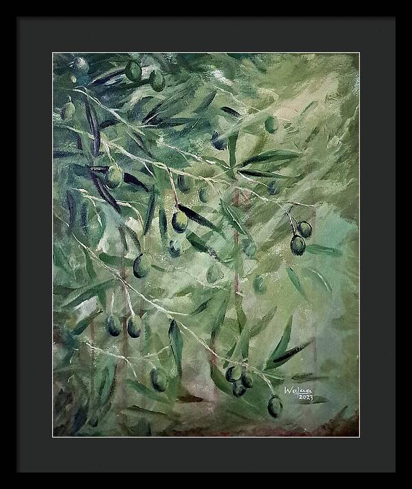 Olive Tears - Framed Print