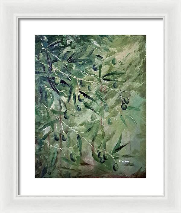 Olive Tears - Framed Print