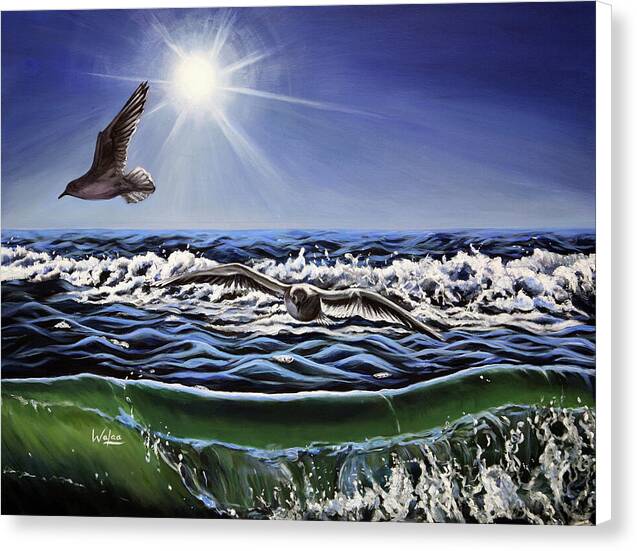 Seagull Freedom by Walaa - Canvas Print