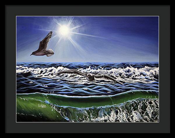 Seagull Freedom - Framed Print