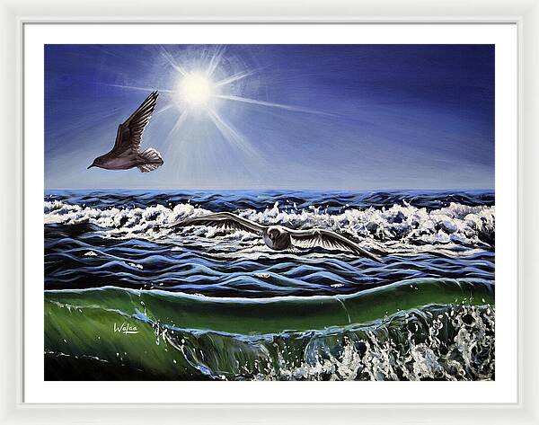 Seagull Freedom - Framed Print