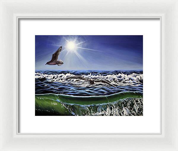 Seagull Freedom - Framed Print