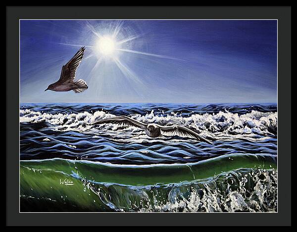 Seagull Freedom - Framed Print