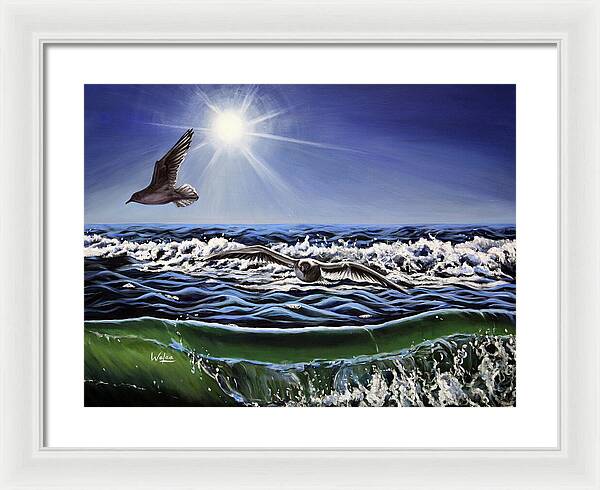 Seagull Freedom - Framed Print