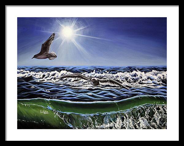 Seagull Freedom - Framed Print