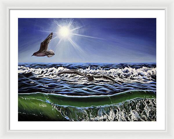 Seagull Freedom - Framed Print