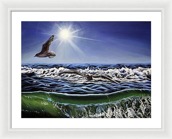 Seagull Freedom - Framed Print