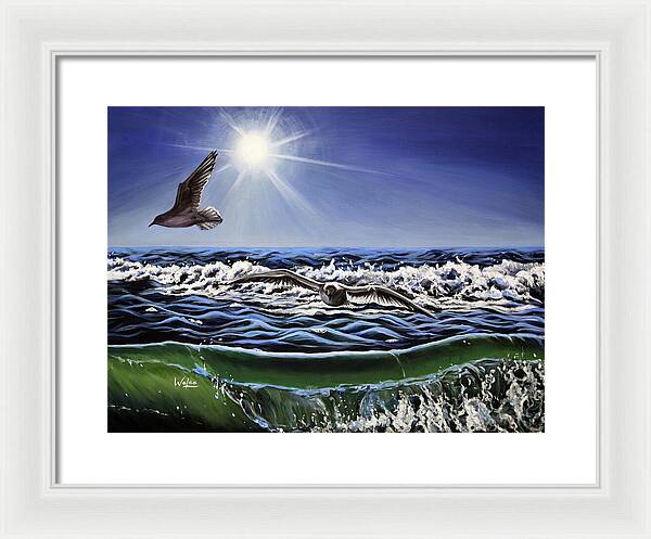 Seagull Freedom - Framed Print