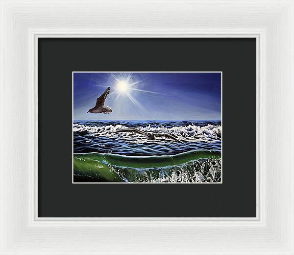 Seagull Freedom - Framed Print