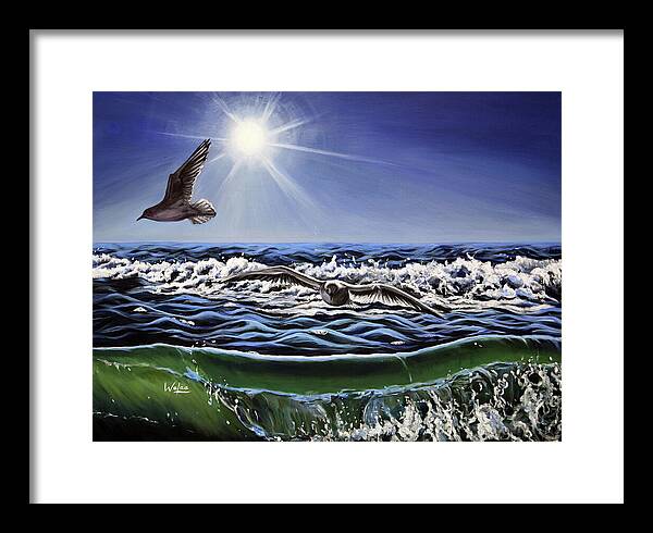 Seagull Freedom - Framed Print