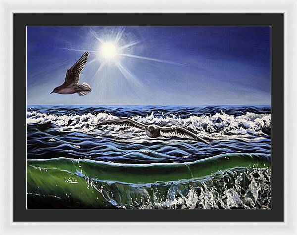 Seagull Freedom - Framed Print