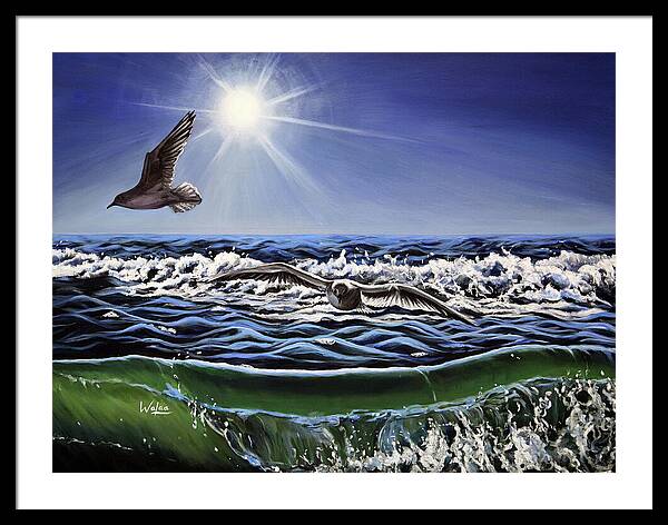 Seagull Freedom - Framed Print