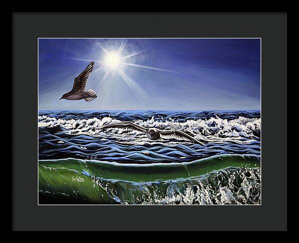 Seagull Freedom - Framed Print