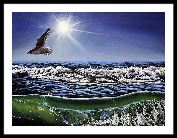 Seagull Freedom - Framed Print