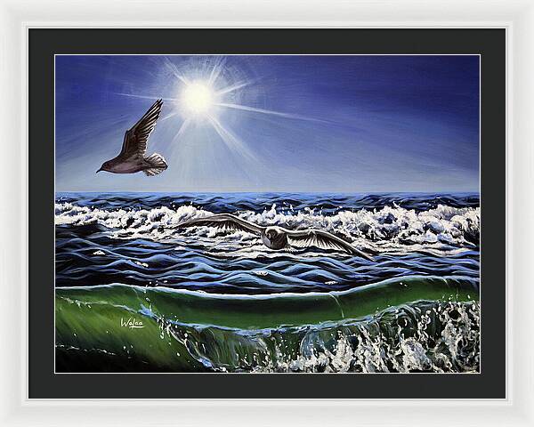 Seagull Freedom - Framed Print