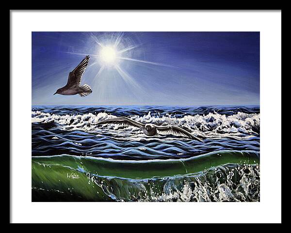 Seagull Freedom - Framed Print