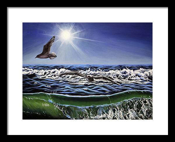 Seagull Freedom - Framed Print