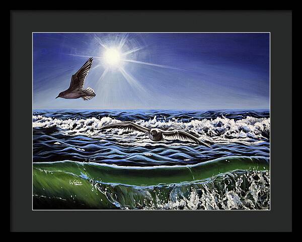 Seagull Freedom - Framed Print