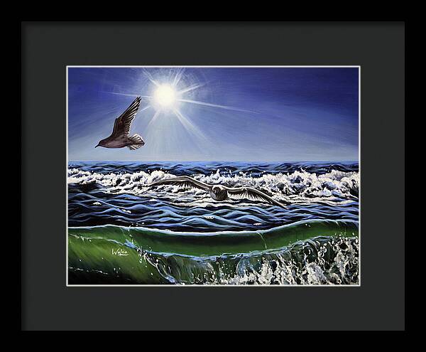 Seagull Freedom - Framed Print