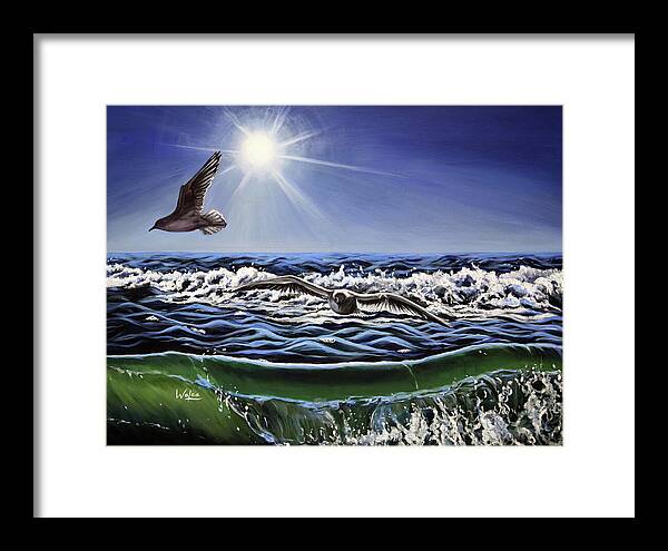 Seagull Freedom - Framed Print