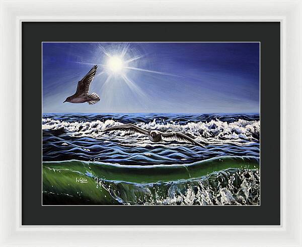 Seagull Freedom - Framed Print