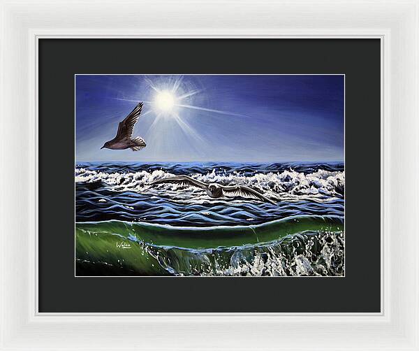 Seagull Freedom - Framed Print