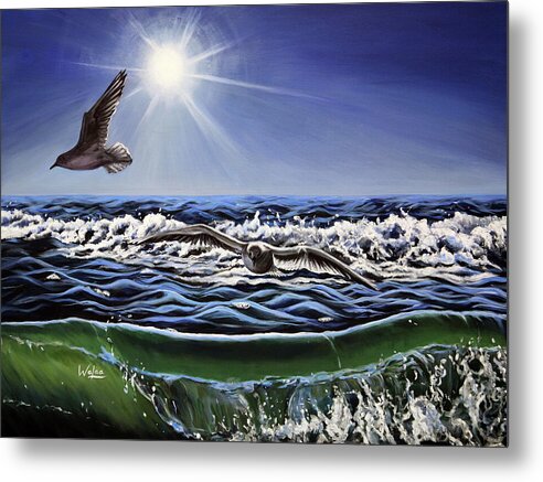 Seagull Freedom - Metal Print