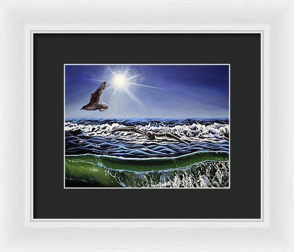 Seagull Freedom - Framed Print