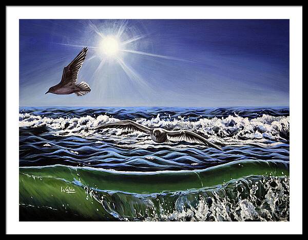 Seagull Freedom - Framed Print