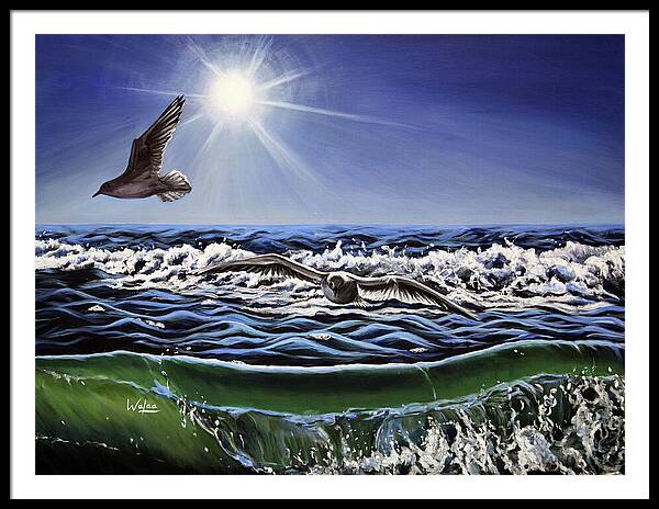 Seagull Freedom - Framed Print