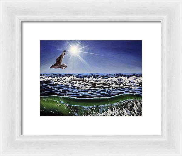 Seagull Freedom - Framed Print