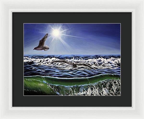 Seagull Freedom - Framed Print