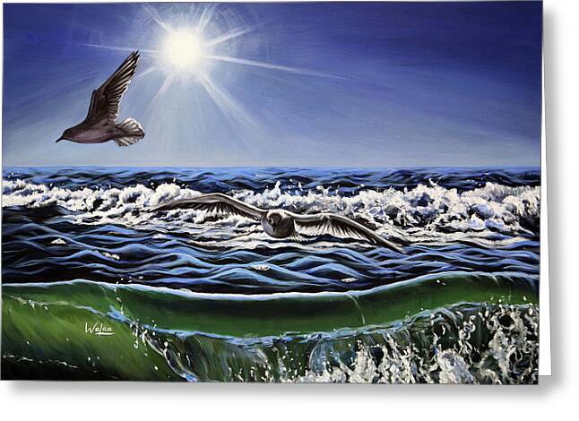 Seagull Freedom - Greeting Card