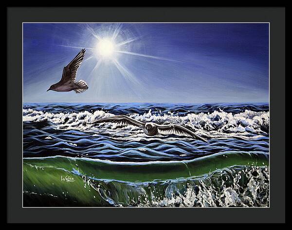 Seagull Freedom - Framed Print