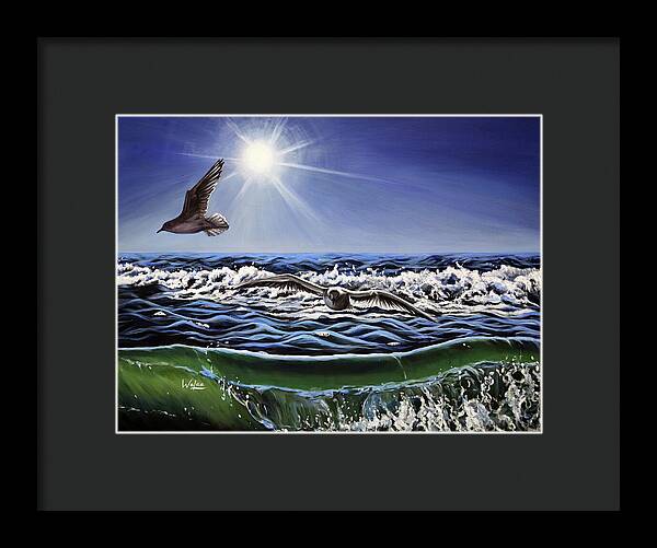 Seagull Freedom - Framed Print