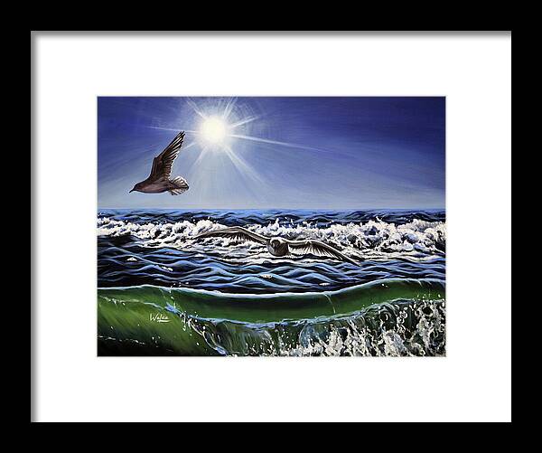 Seagull Freedom - Framed Print