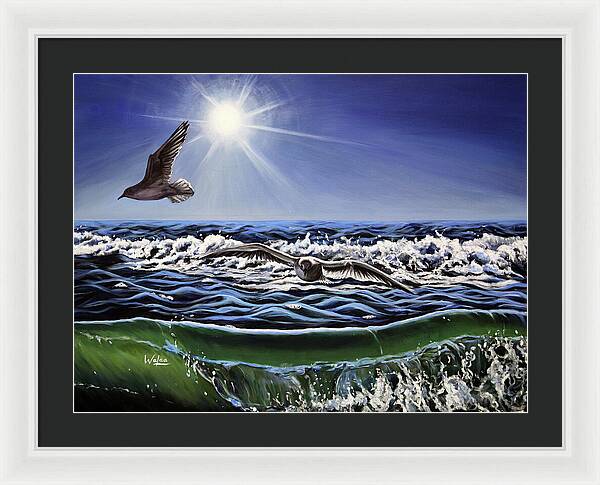 Seagull Freedom - Framed Print