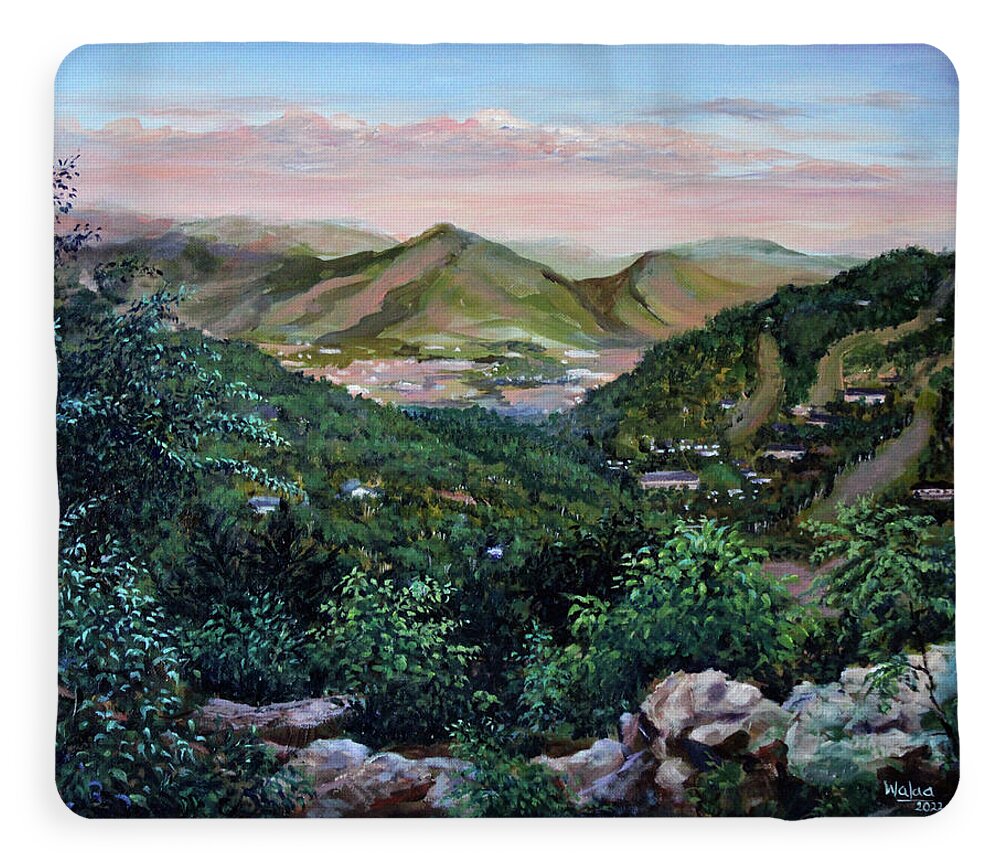 Mountain Peace in Shenandoah - Fleece Blanket