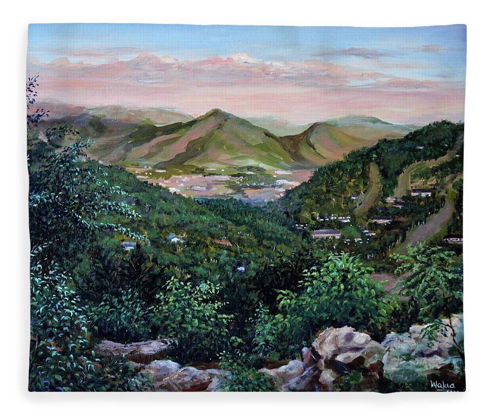 Mountain Peace in Shenandoah - Fleece Blanket