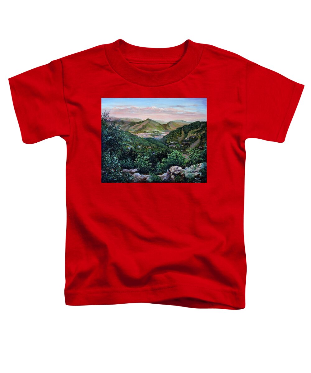 Mountain Peace in Shenandoah - Toddler T-Shirt